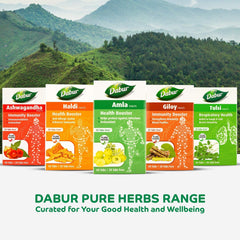 Dabur Amla Tablets Health Booster Rich In Antioxidants Provides Protection Against Infections | 60 + 20 Tablets Free , 100gm 0.2lbs Each Pack Of 2