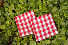 Crazyweaves Crazy Weaves Cotton Hand Towel 400 Gsm | Lunch Box Towels Daily Use 100% Pure Cotton Towel | Pack Of 4 (Red Green)