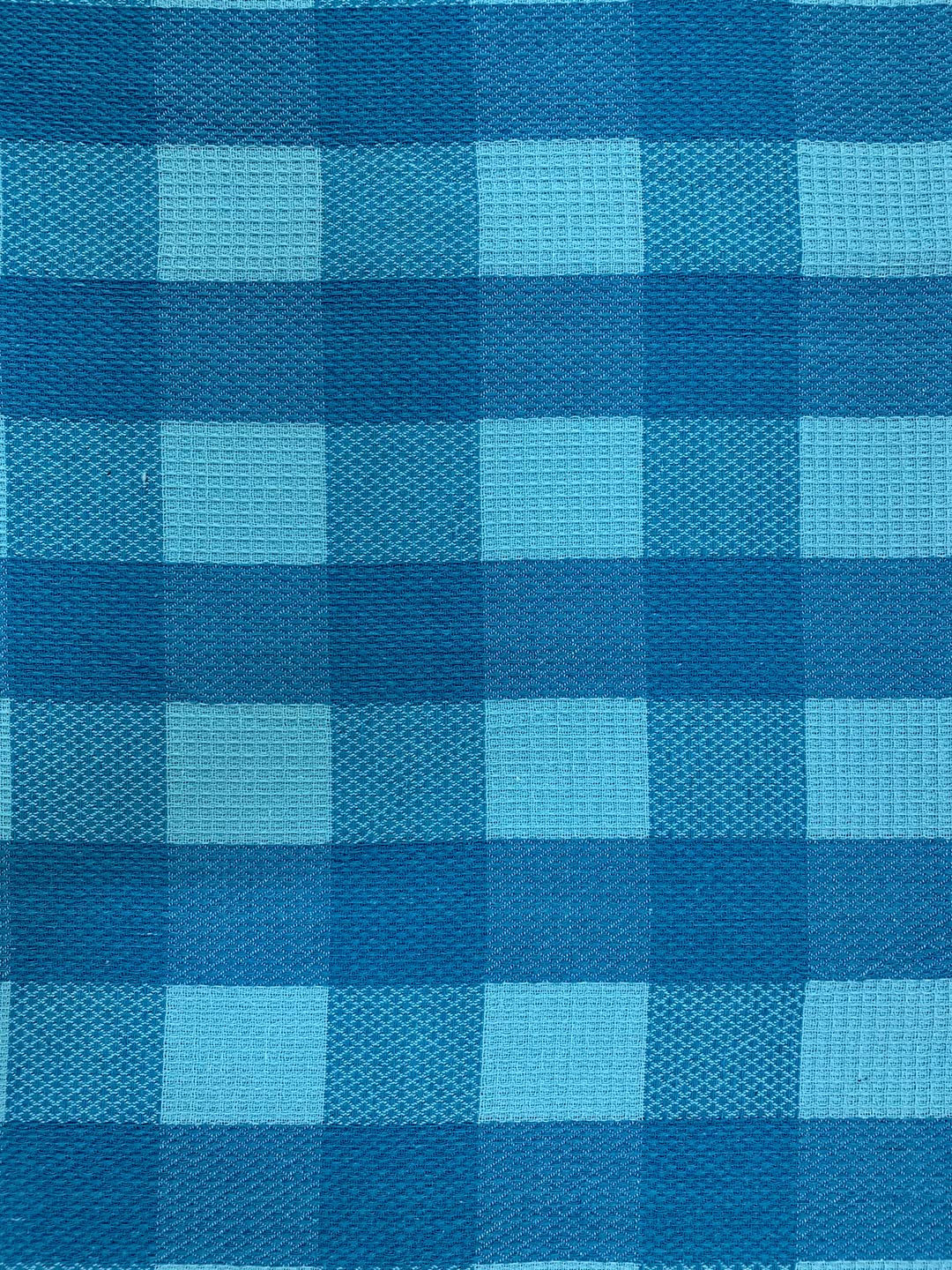 Athom Living Premium Cotton Light Weight Quick-Dry High Absorbent Cotton Bath Towel 250 Gsm, S (Blue Checks)