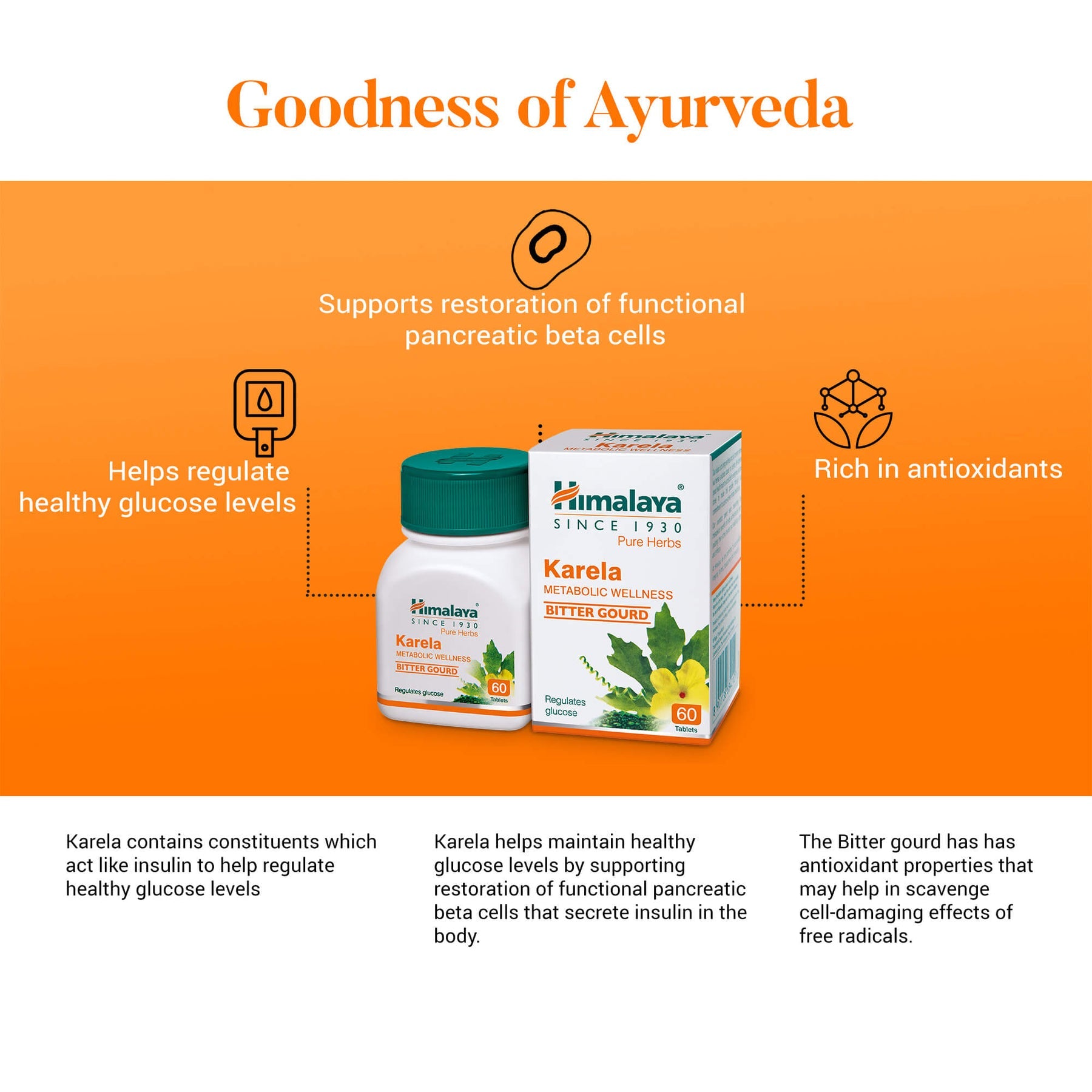 Himalaya Wellness Pure Herbs Karela Metabolic Wellness Tablets, Helps In Improving Digestive Process | 60 Tablets