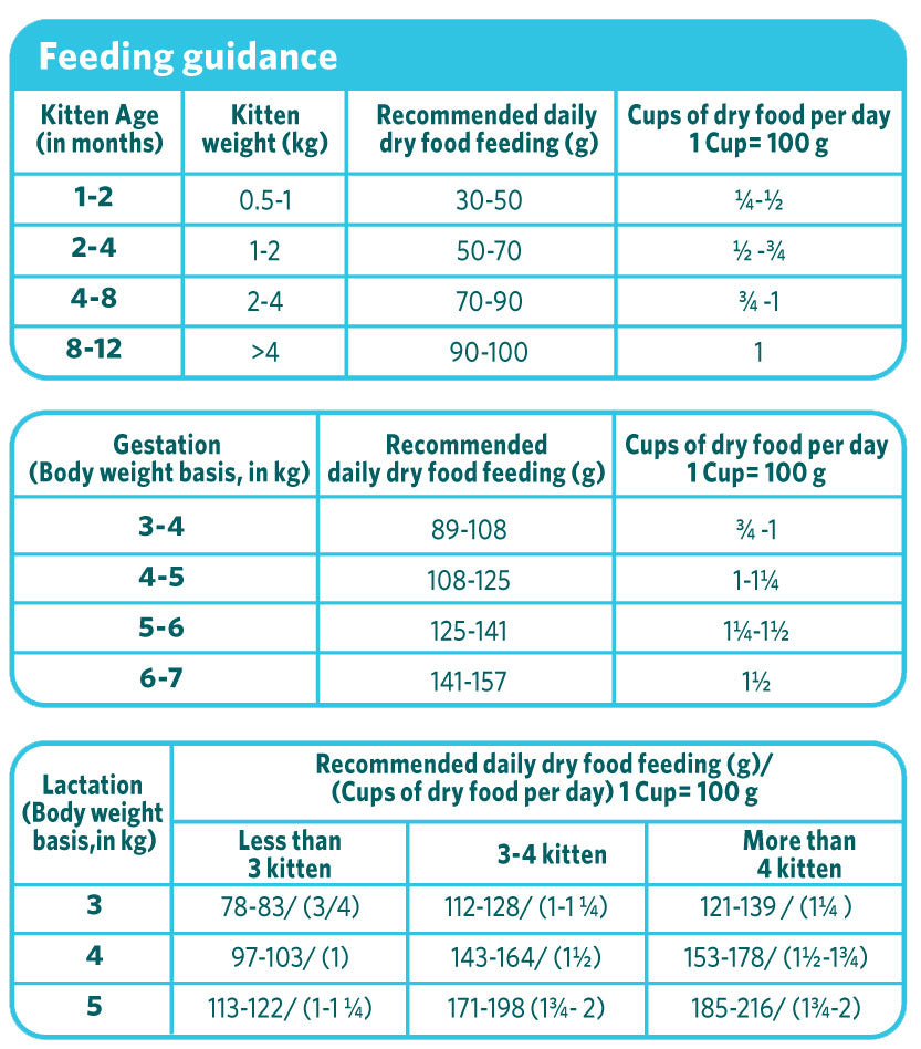 Himalaya Healthy Cat Food Kitten, Ocean Fish & Chicken, Complete And Balanced Food For Mother Cats & Kittens | 3kg