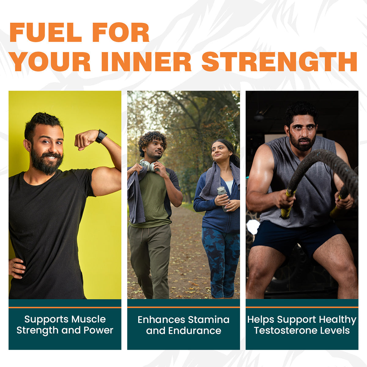 Himalaya Shilajit, 100% Pure Himalayan Shilajit, Enhances Stamina, Energy & Power | Supports Healthy Testosterone Levels | 60 Capsules (Pack Of 5)