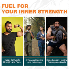 Himalaya Shilajit, 100% Pure Himalayan Shilajit, Enhances Stamina, Energy & Power | Supports Healthy Testosterone Levels | 60 Capsules