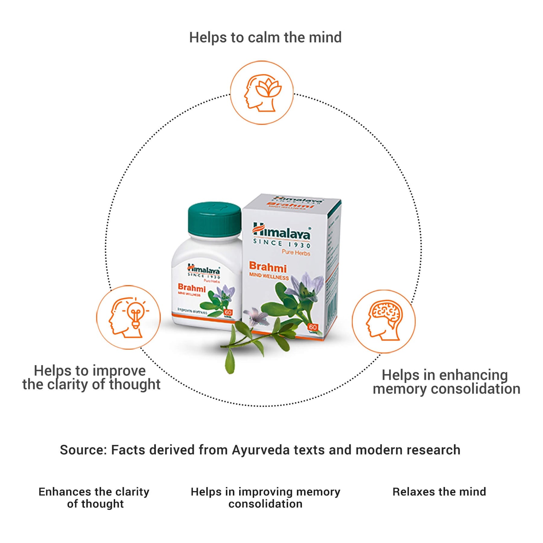 Himalaya Wellness Himalaya Brahmi Tablets, Mind Wellness & Improve Alertness | 60 Tablets