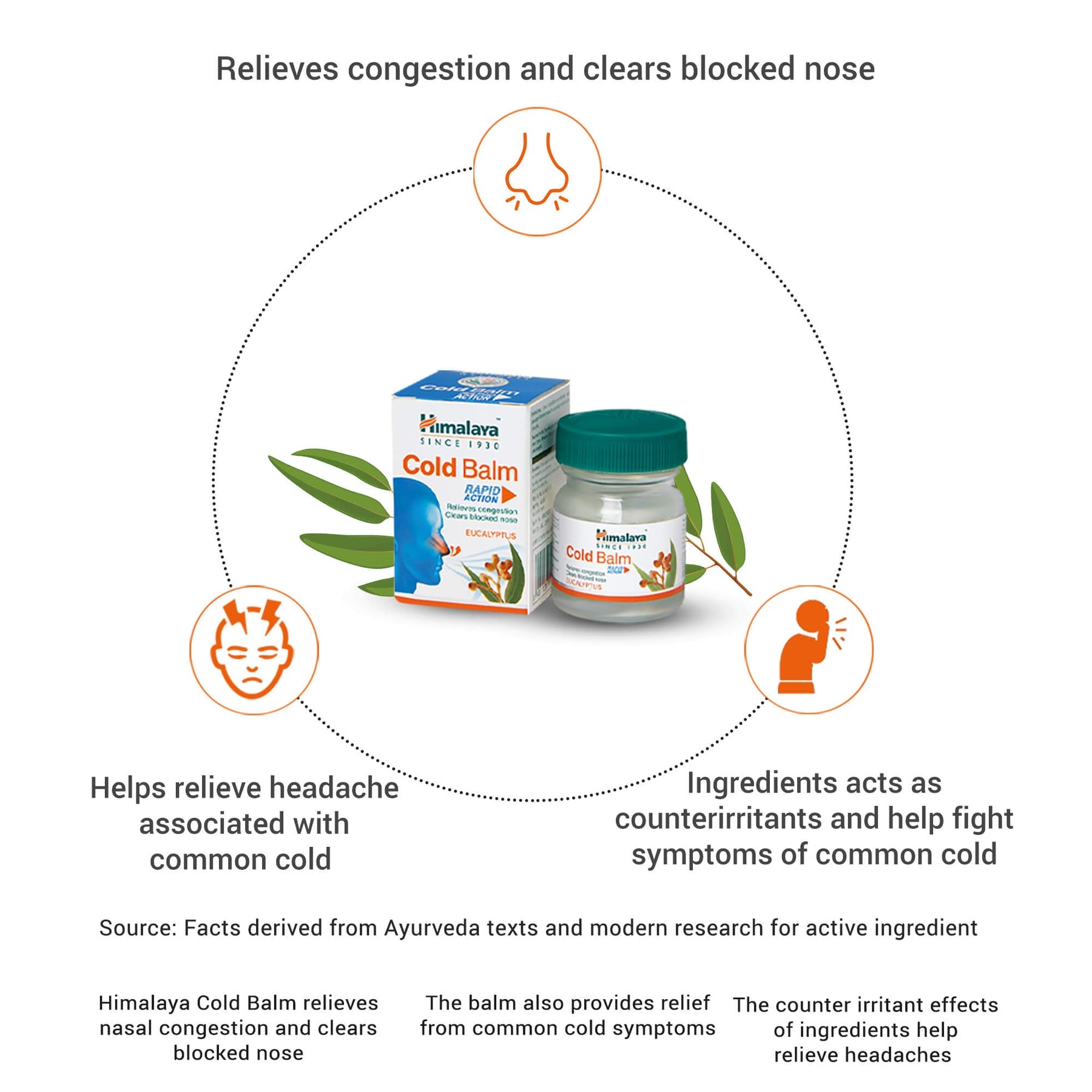 Himalaya Cold Balm, Relieves Nasal And Chest Congestion | 10gm