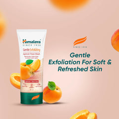 Himalaya Gentle Exfoliating Apricot Face Wash, Removes Blackheads |  50ml
