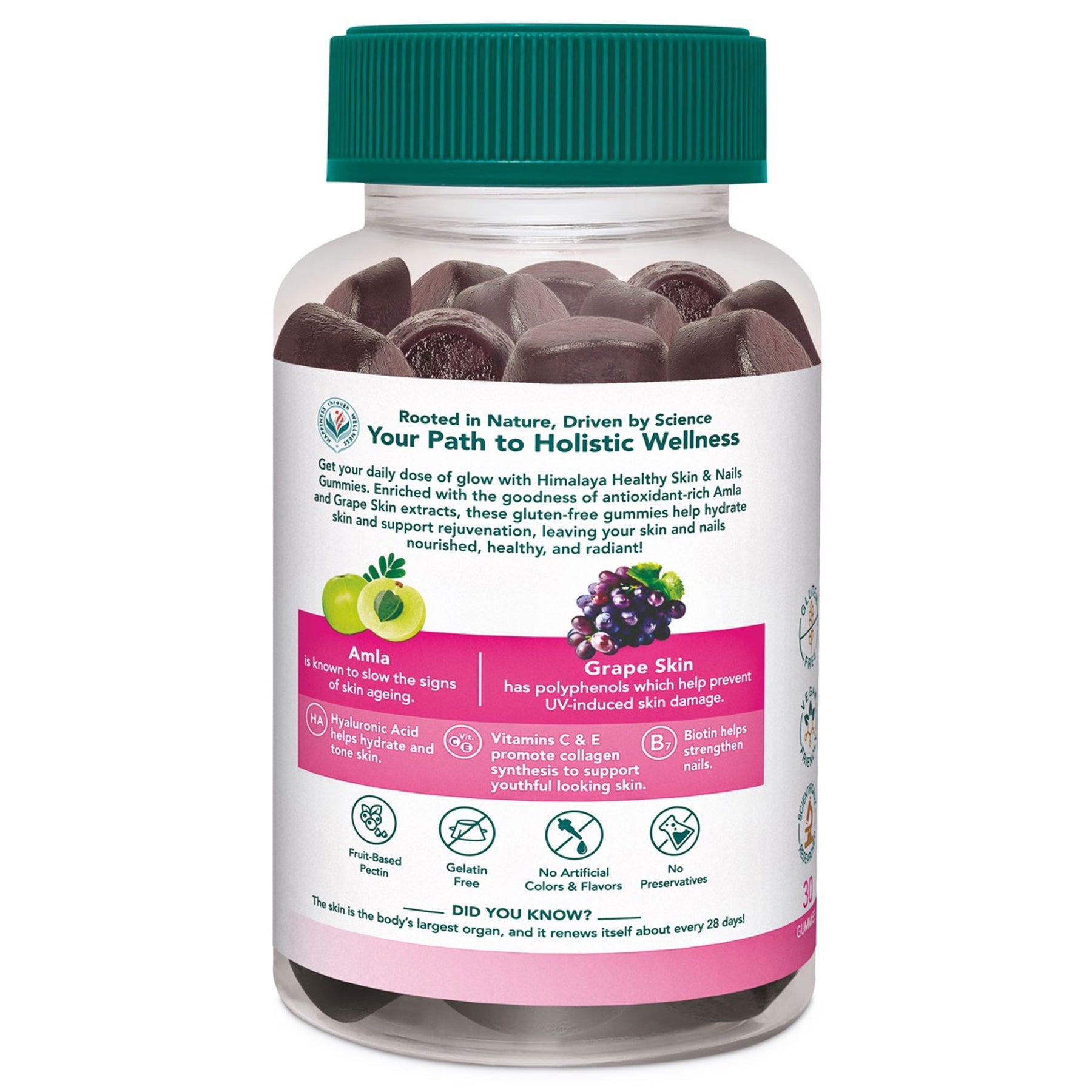 Himalaya Skin & Nail Health Gummies For Healthy, Glowing, Youthful Skin & Nails | With 5 Essential Vitamins, Gelatin-Free Fruit Based Gummies | 100% Vegetarian, 30 Gummies