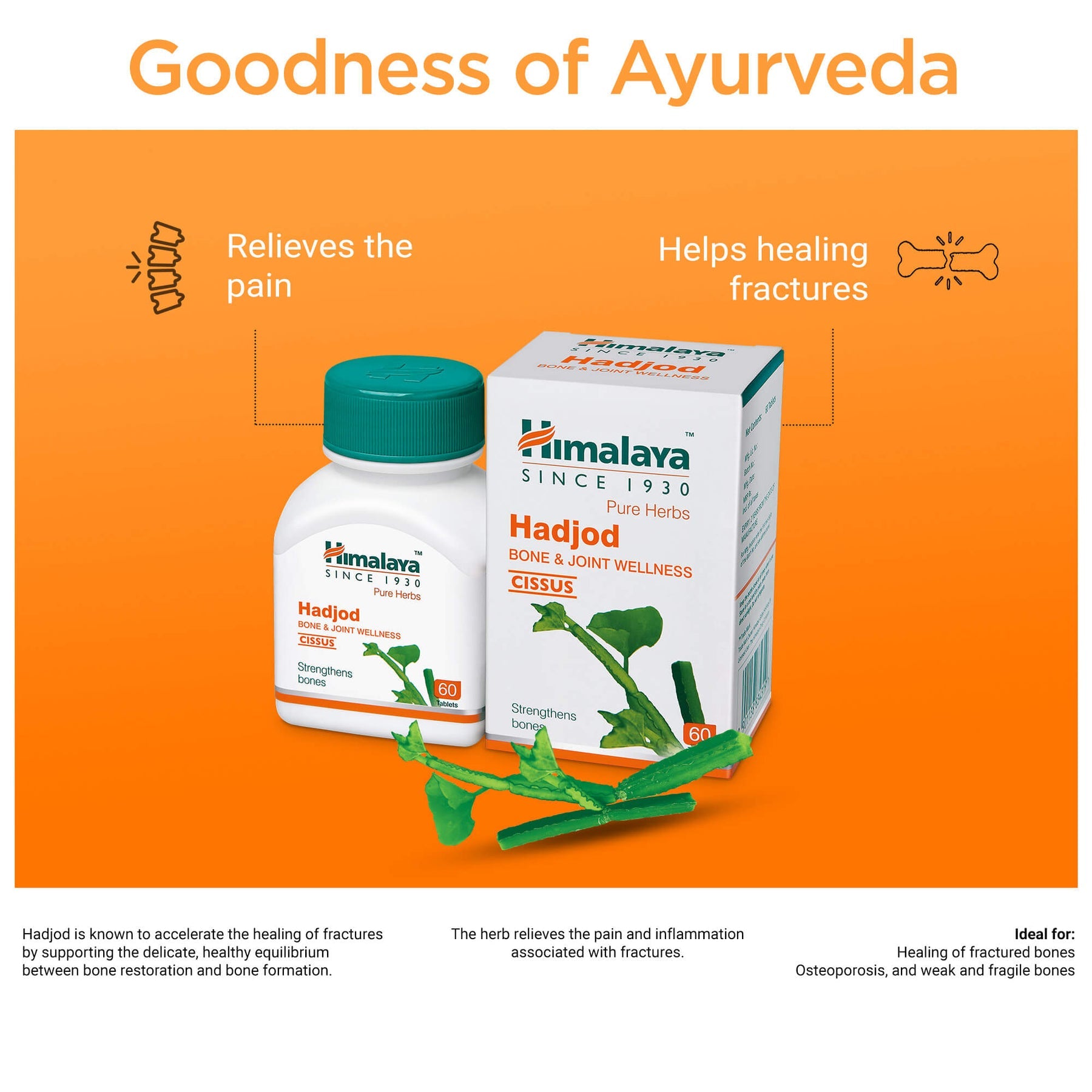 Himalaya Pure Herbs Hadjod Bone & Joint Wellness Tablet, Helps To Restore Tensile Strength Of Bones | 60 Tablets