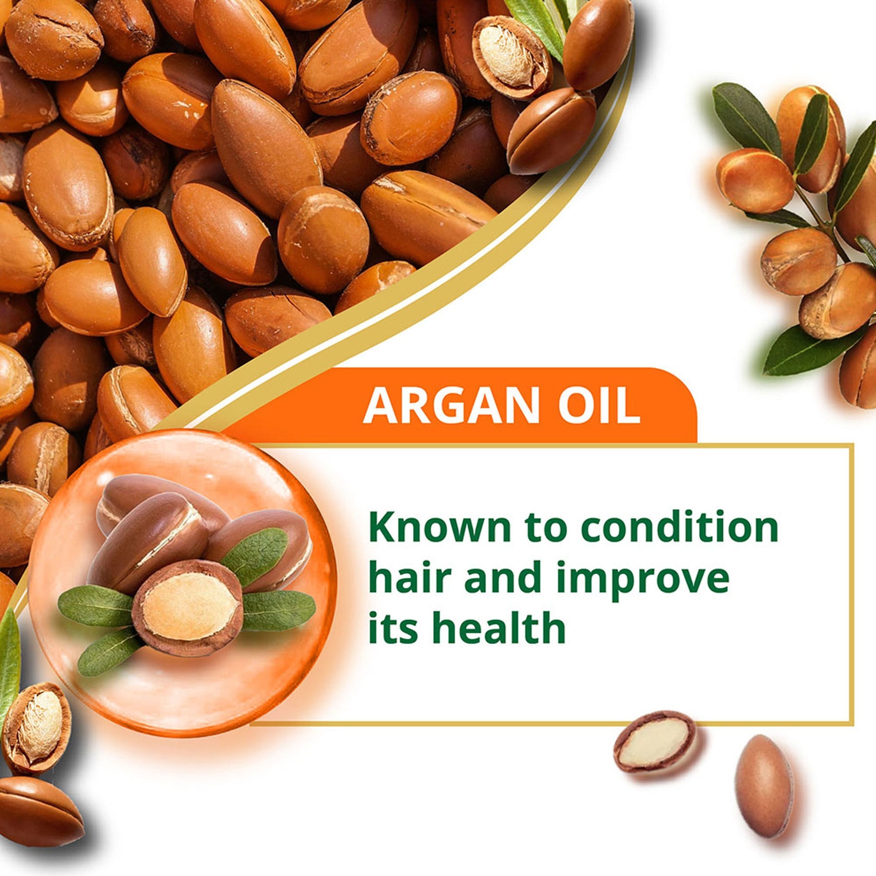 Himalaya Damage Repair Argan Oil Conditioner, 5x Damage Control For Smoother Hair | 80ml