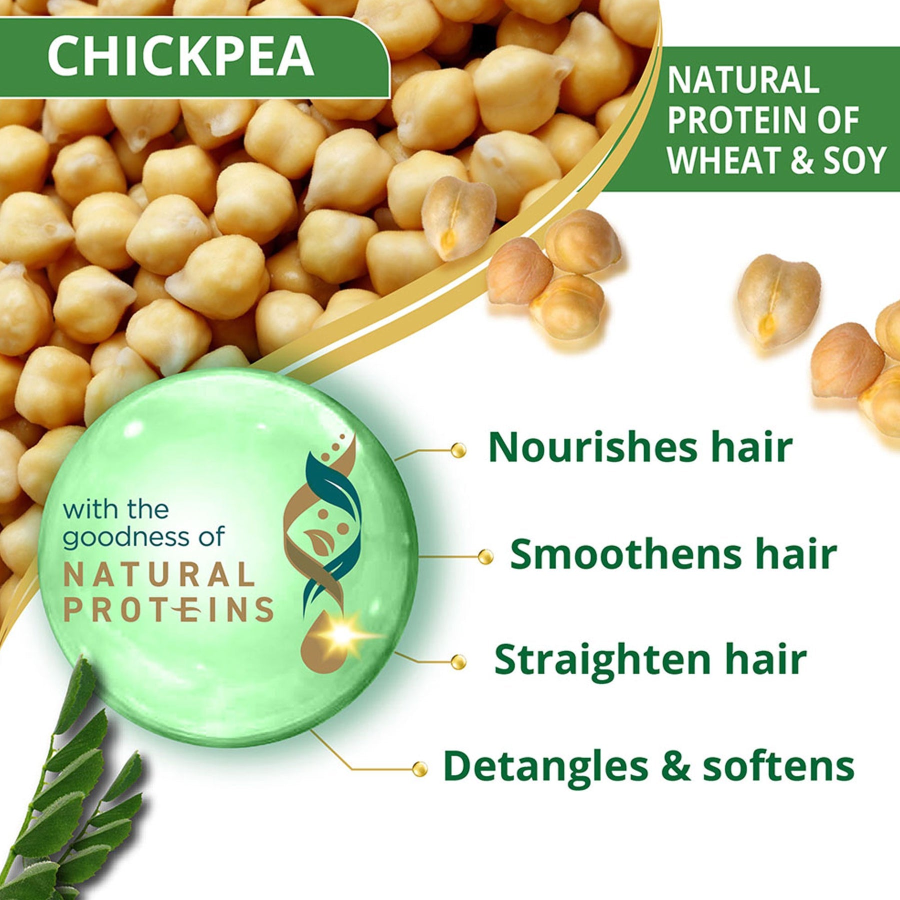 Himalaya Gentle Daily Care Natural Protein Conditioner, Detangles And Smoothens Hair | 80ml