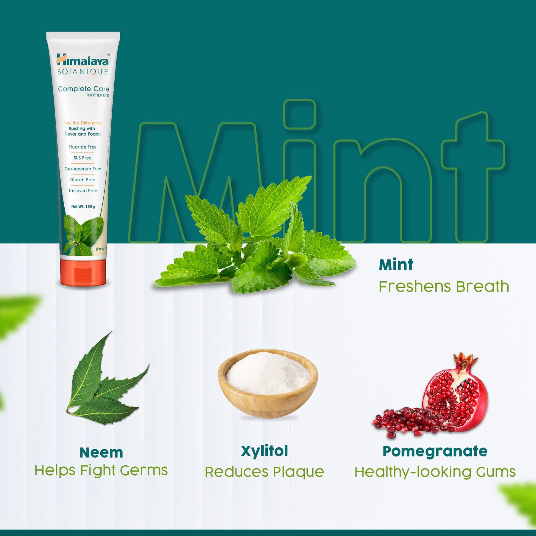 Himalaya Botanique Complete Care Toothpaste - Simply Mint, Free From Fluoride & SLS | For Fresh Breath & Clean Mouth | 150gm