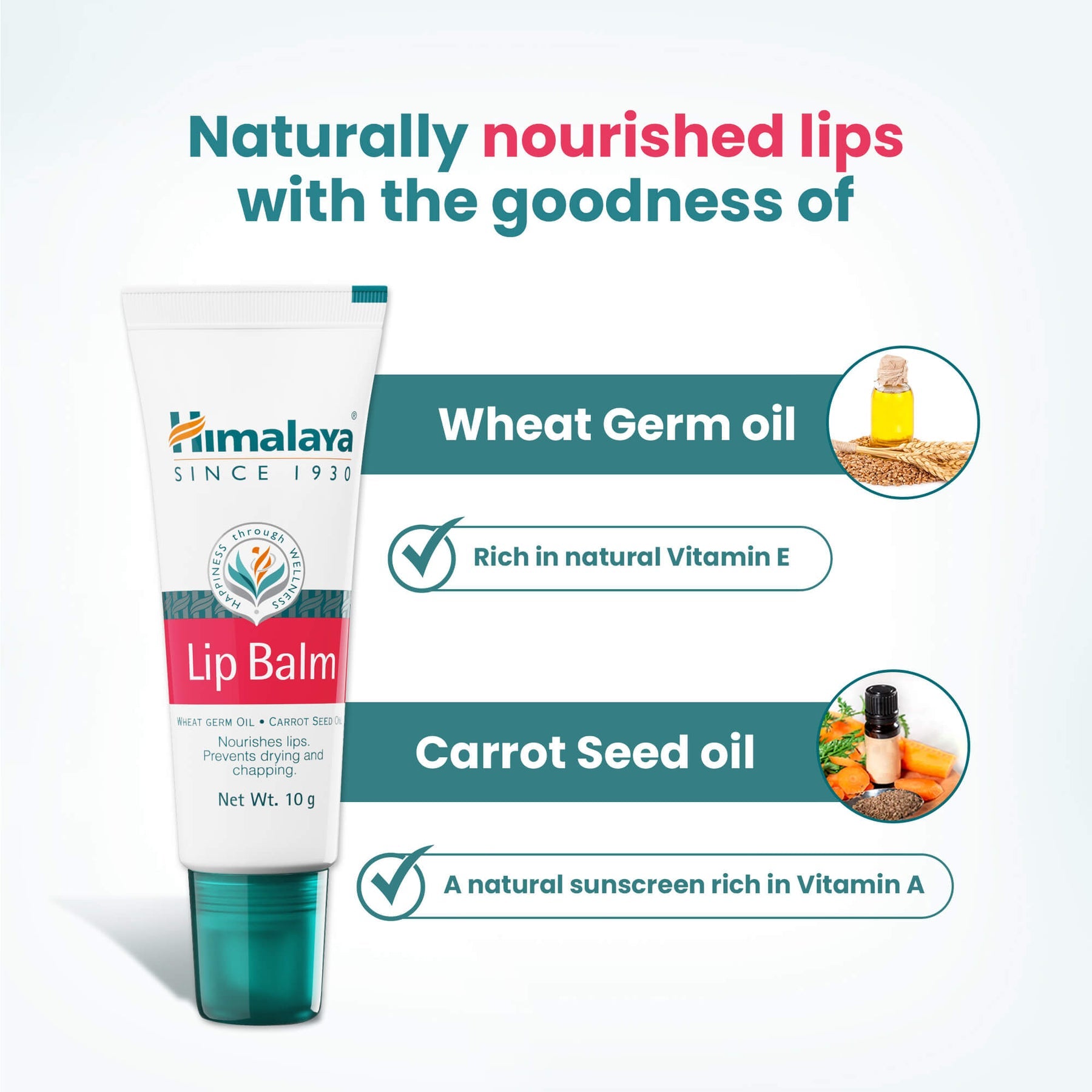 Himalaya Lip Balm, Nourishes Lips | 10gm
