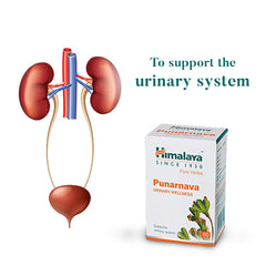 Himalaya Wellness Pure Herbs Punarnava Urinary Wellness Tablet, Useful For Efficient Kidney Functions | 60 Tablets