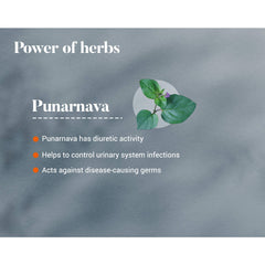 Himalaya Wellness Pure Herbs Punarnava Urinary Wellness Tablet, Useful For Efficient Kidney Functions | 60 Tablets (Pack Of 5)