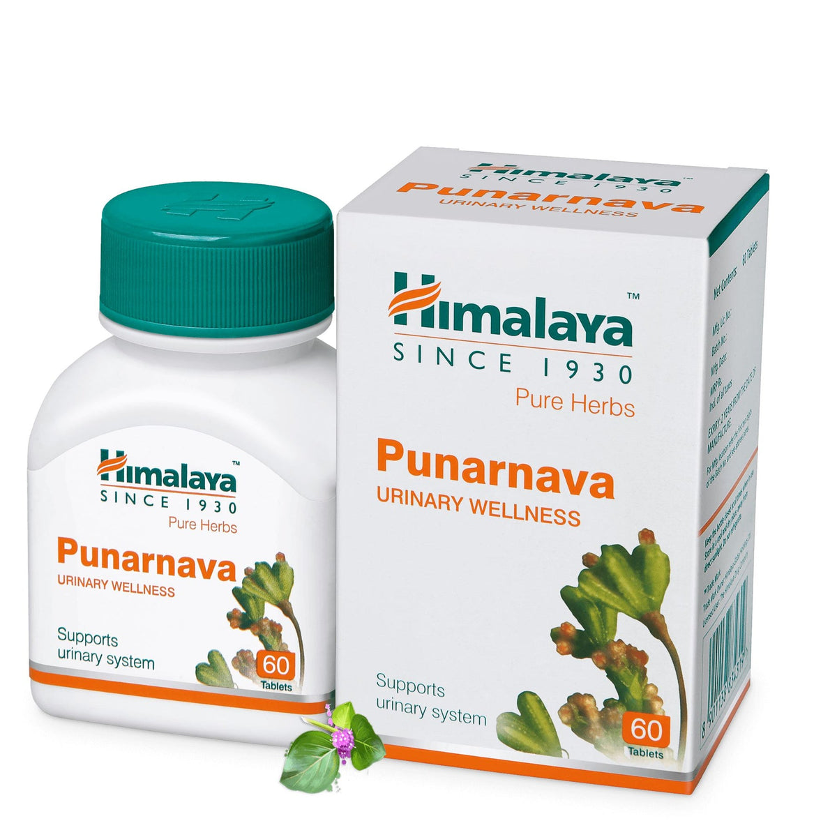 Himalaya Wellness Pure Herbs Punarnava Urinary Wellness Tablet, Useful For Efficient Kidney Functions | 60 Tablets (Pack Of 2)