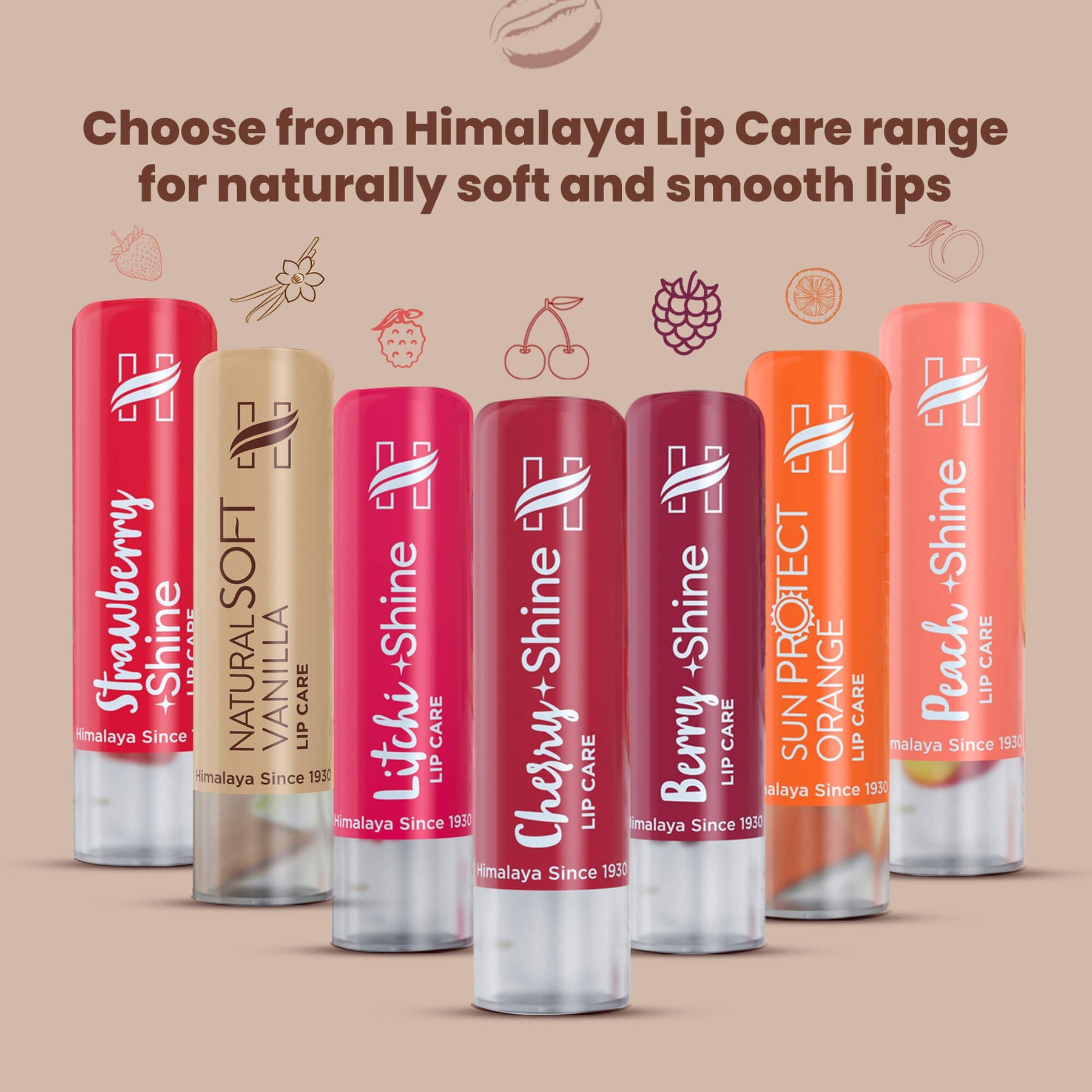 Himalaya Rich Cocoa Butter Lip Care, Repairs, Heals & Intensely Moisturizes Lips | 4.5gm