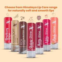 Himalaya Sun Protect Orange Lip Care, Nourishes & Soothes Lips Shields Against Harmful UV Rays | 4.5gm