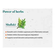 Himalaya Wellness Pure Herbs Shallaki Bone & Joint Wellness Tablet, Reduces Pain & Inflammation | 60 Tablets