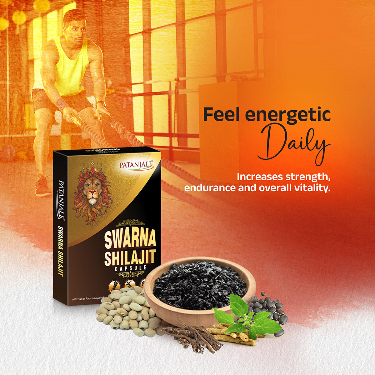 Patanjali Swarna Shilajit Capsule 8gm