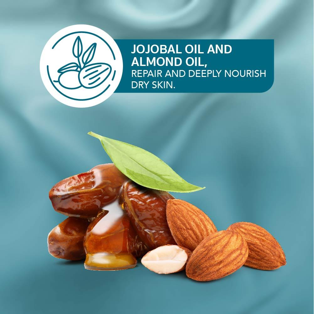 Himalaya Winter Defense Moisturizing Cream, Keeps Skin Soft & Supple In Harsh Winters | 100ml