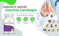 Natures Velvet Lifecare Garcinia Cambogia Pure Extract 500mg It Helps In Maintaining Cholesterol Level | 60 Veggie Capsules 100gm 0.2lbs Each Pack Of 2