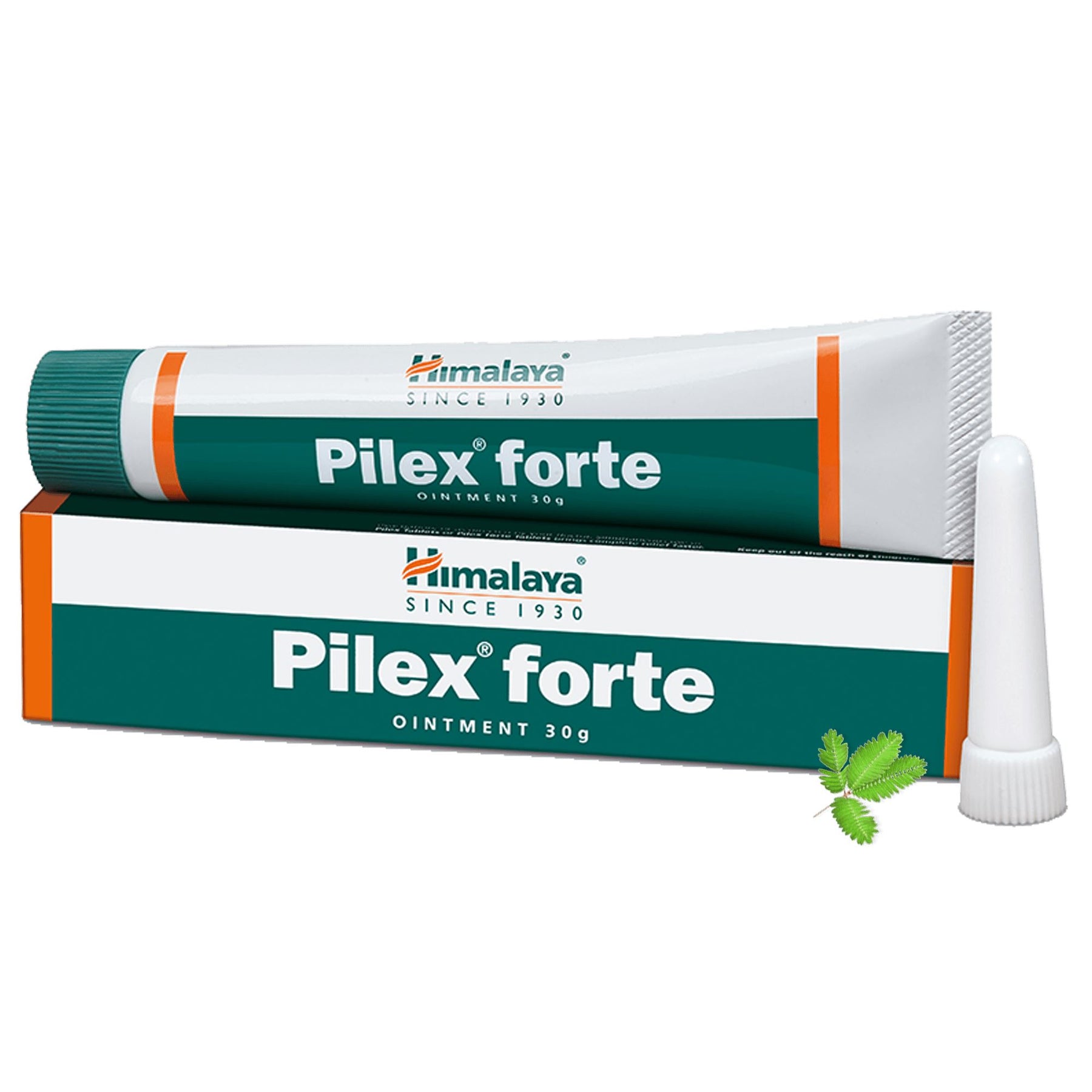 Himalaya Wellness Pilex Forte Ointment, Trusted Piles Treatment, Prevents Secondary Microbial Infections | 30g