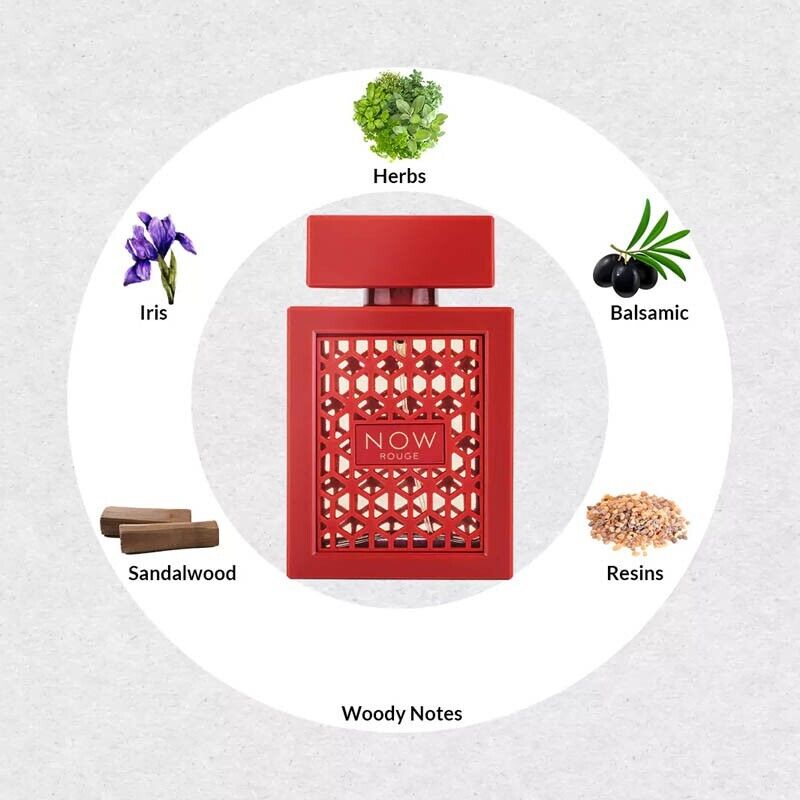 Rave Now Rouge Eau De Parfum 100ml 3.4 Fl.oz. Unisex Fragrance | Long Lasting