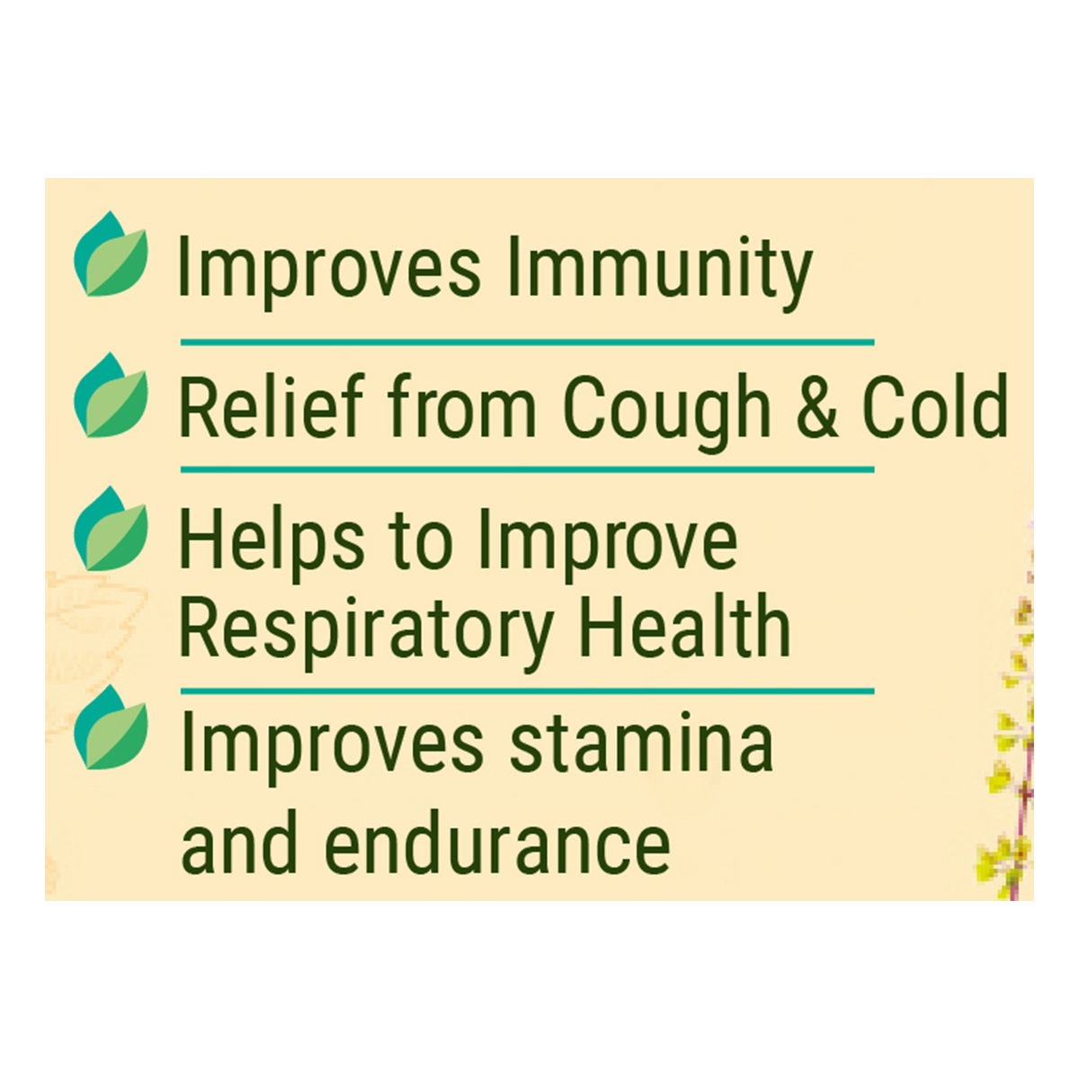 Patanjali Shila Tulsi Drop 30ml