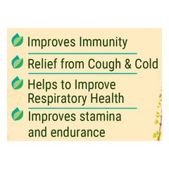 Patanjali Shila Tulsi Drop 30ml